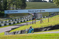 Lower Group Blue Bikes